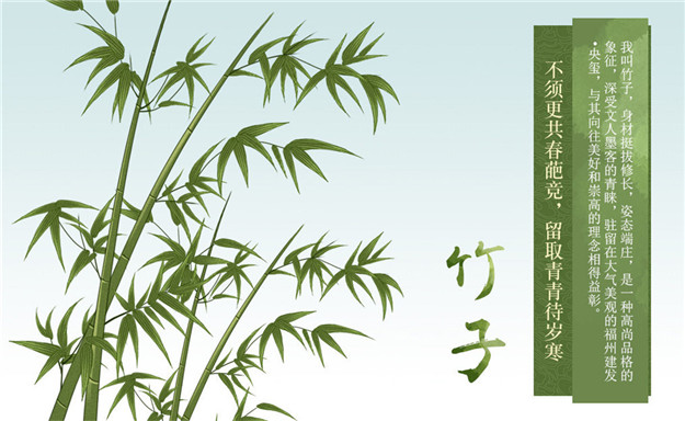 新澳门全年免费原料网